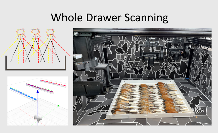 Whole Drawer Sacnning