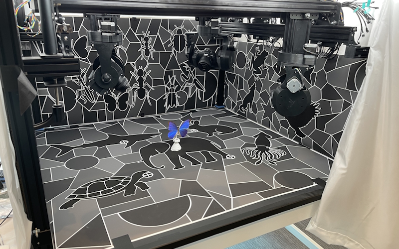 Capsule chamber